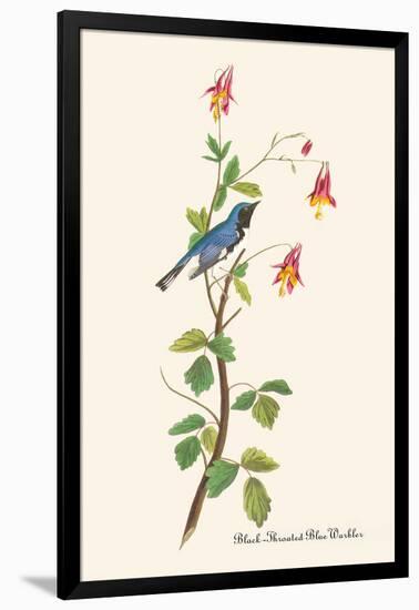 Black-Throated Blue Warbler-John James Audubon-Framed Art Print