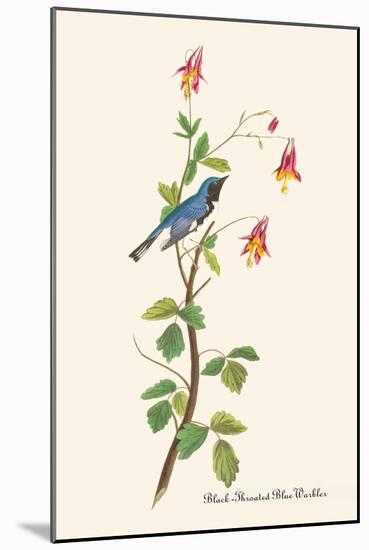 Black-Throated Blue Warbler-John James Audubon-Mounted Art Print