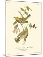 Black-throated Green Wood Warbler-John James Audubon-Mounted Art Print