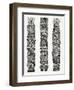 Black Tiki Totems-Cat Coquillette-Framed Giclee Print