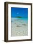 Black tipped reef sharks in the Blue Lagoon, Rangiroa atoll, Tuamotus, French Polynesia-Michael Runkel-Framed Photographic Print