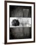 Black Tree 1-LightBoxJournal-Framed Giclee Print