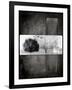 Black Tree 1-LightBoxJournal-Framed Giclee Print