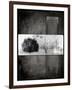 Black Tree 1-LightBoxJournal-Framed Giclee Print