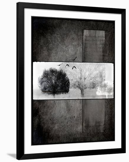 Black Tree 1-LightBoxJournal-Framed Giclee Print