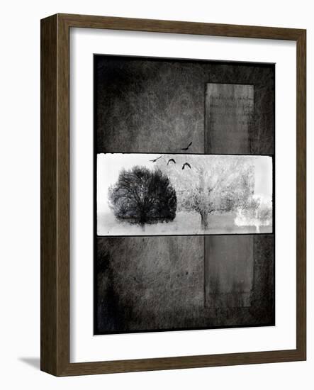 Black Tree 1-LightBoxJournal-Framed Giclee Print