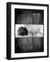 Black Tree 1-LightBoxJournal-Framed Giclee Print