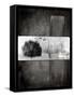 Black Tree 1-LightBoxJournal-Framed Stretched Canvas