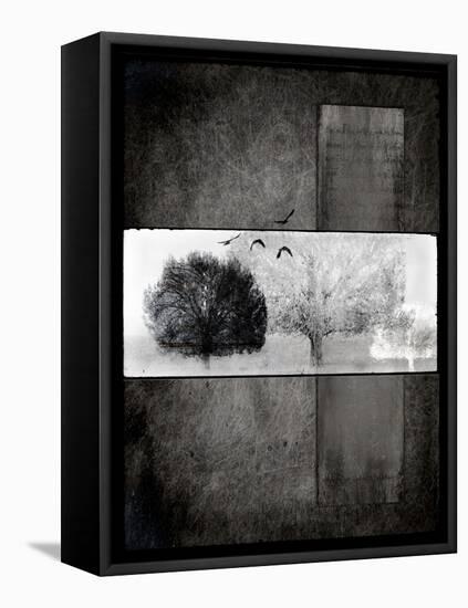 Black Tree 1-LightBoxJournal-Framed Stretched Canvas