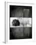 Black Tree 1-LightBoxJournal-Framed Giclee Print