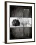 Black Tree 1-LightBoxJournal-Framed Giclee Print