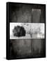 Black Tree 1-LightBoxJournal-Framed Stretched Canvas