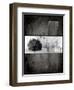 Black Tree 1-LightBoxJournal-Framed Giclee Print