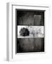 Black Tree 1-LightBoxJournal-Framed Giclee Print