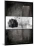 Black Tree 1-LightBoxJournal-Mounted Giclee Print