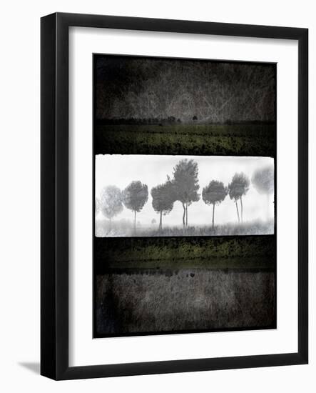 Black Tree 2-LightBoxJournal-Framed Giclee Print