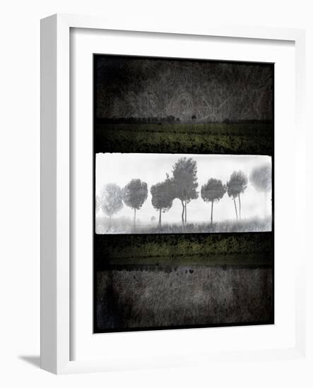 Black Tree 2-LightBoxJournal-Framed Giclee Print