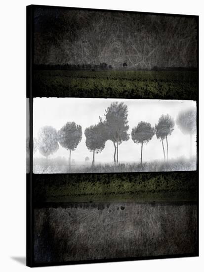 Black Tree 2-LightBoxJournal-Stretched Canvas