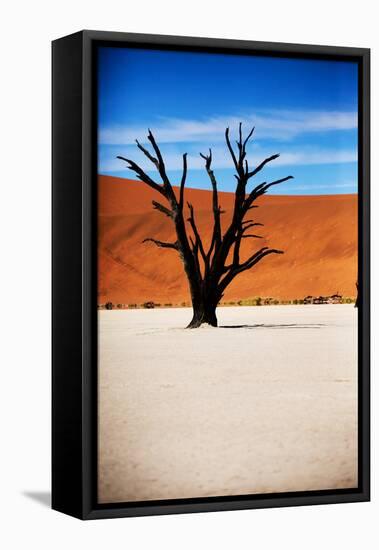 Black Tree-MJO Photo-Framed Stretched Canvas