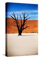 Black Tree-MJO Photo-Stretched Canvas