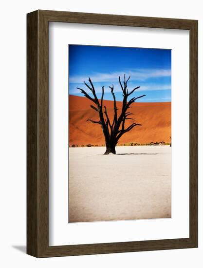 Black Tree-MJO Photo-Framed Photographic Print