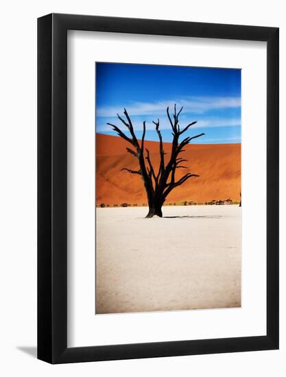 Black Tree-MJO Photo-Framed Photographic Print
