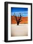 Black Tree-MJO Photo-Framed Photographic Print