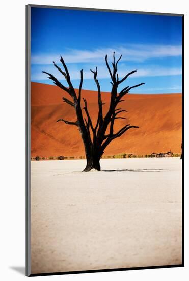 Black Tree-MJO Photo-Mounted Photographic Print