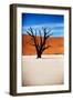 Black Tree-MJO Photo-Framed Photographic Print