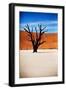 Black Tree-MJO Photo-Framed Photographic Print