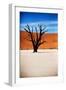 Black Tree-MJO Photo-Framed Photographic Print