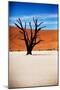 Black Tree-MJO Photo-Mounted Photographic Print