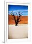 Black Tree-MJO Photo-Framed Photographic Print