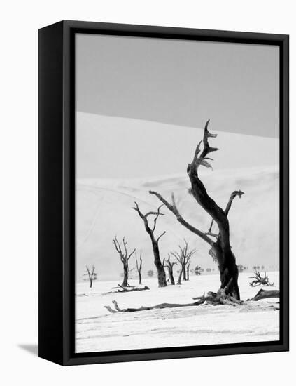 Black Trees-Howard Ruby-Framed Stretched Canvas