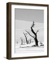 Black Trees-Howard Ruby-Framed Photographic Print