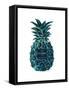 Black Tropical Pineapple-Amanda Greenwood-Framed Stretched Canvas