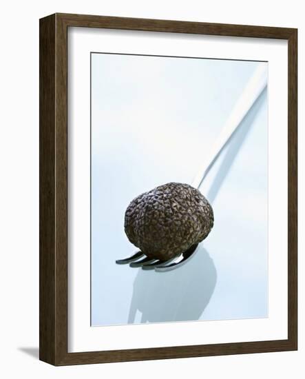 Black Truffle (Chinese Truffle) on Fork-Chris Meier-Framed Photographic Print