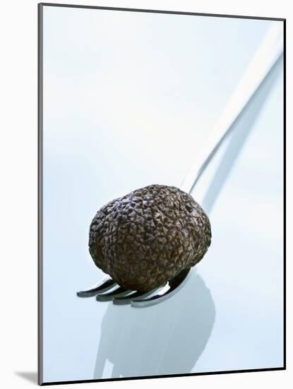 Black Truffle (Chinese Truffle) on Fork-Chris Meier-Mounted Photographic Print