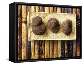 Black Truffles on Rice-null-Framed Stretched Canvas