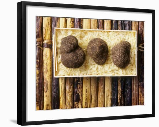 Black Truffles on Rice-null-Framed Photographic Print