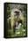 Black-Tufted Capuchin-Darrell Gulin-Framed Stretched Canvas