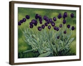 Black Tulips, 2002-Peter Breeden-Framed Giclee Print