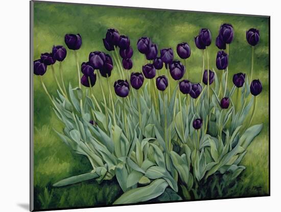 Black Tulips, 2002-Peter Breeden-Mounted Giclee Print