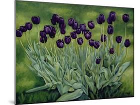 Black Tulips, 2002-Peter Breeden-Mounted Giclee Print