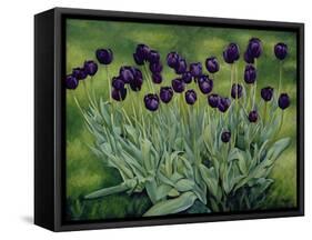 Black Tulips, 2002-Peter Breeden-Framed Stretched Canvas
