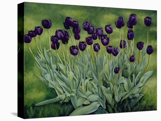 Black Tulips, 2002-Peter Breeden-Stretched Canvas