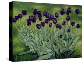 Black Tulips, 2002-Peter Breeden-Stretched Canvas