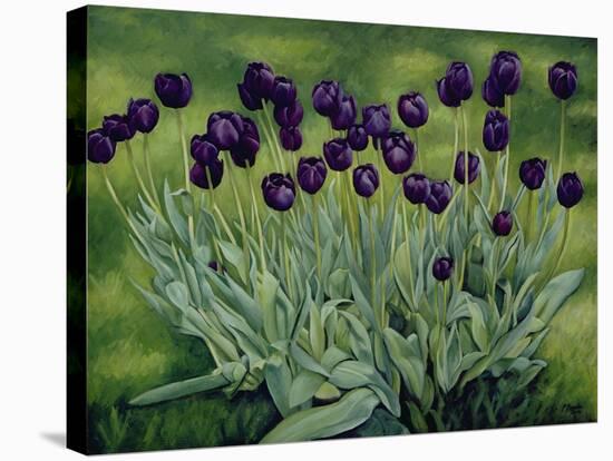 Black Tulips, 2002-Peter Breeden-Stretched Canvas