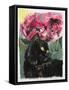 Black Tulips-Anne Robinson-Framed Stretched Canvas