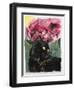 Black Tulips-Anne Robinson-Framed Giclee Print